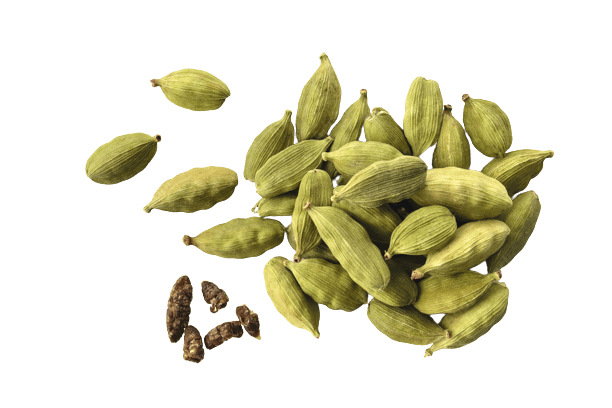 Cardamom