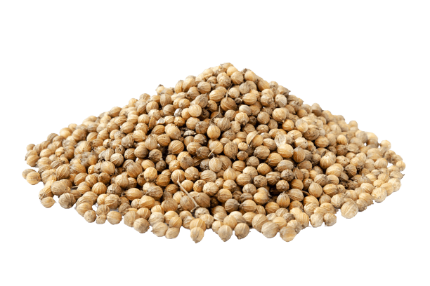 Nutmeg