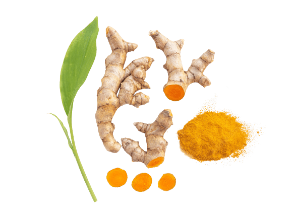 Turmeric